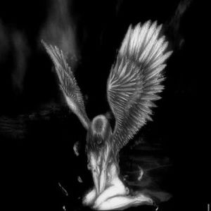 Meet your Posher, Marie-ève